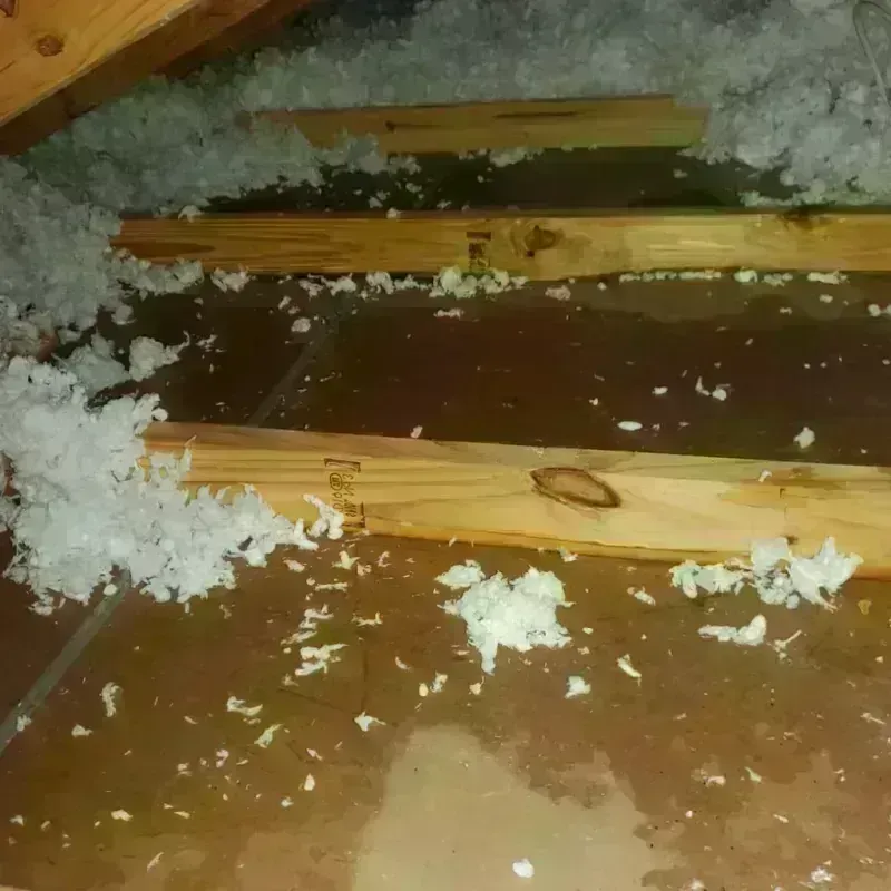 Attic Water Damage in Wood River, NE